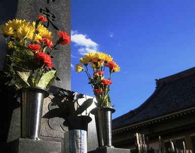 墓じまい・建立