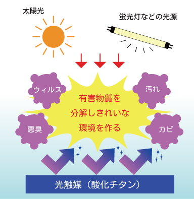 光触媒画像